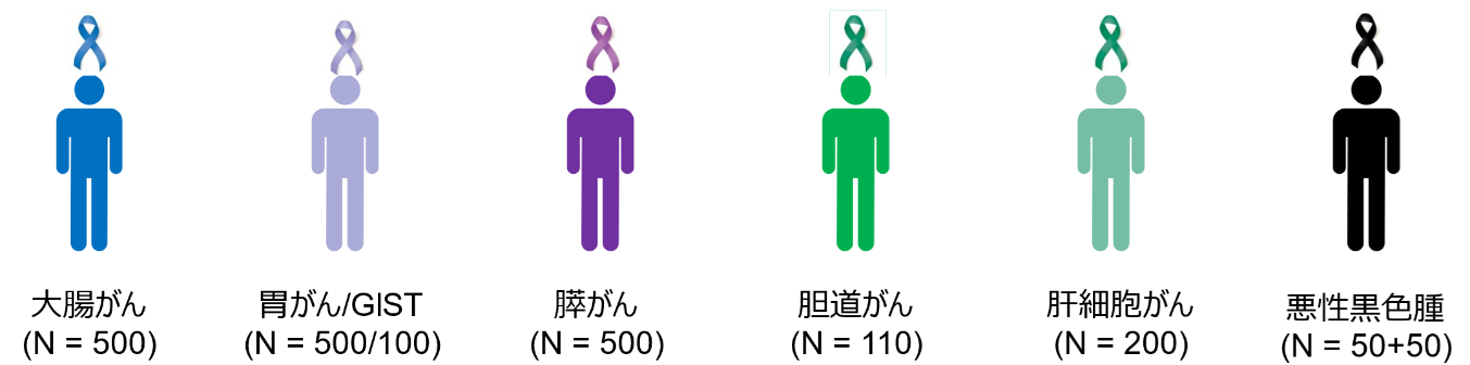 COSMOS Project （コスモス プロジェクト）